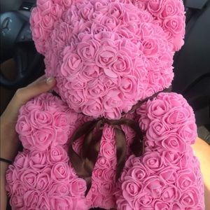 Meet your Posher, Janelys